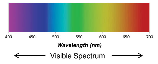 Figure 1 - The visible spectrum
