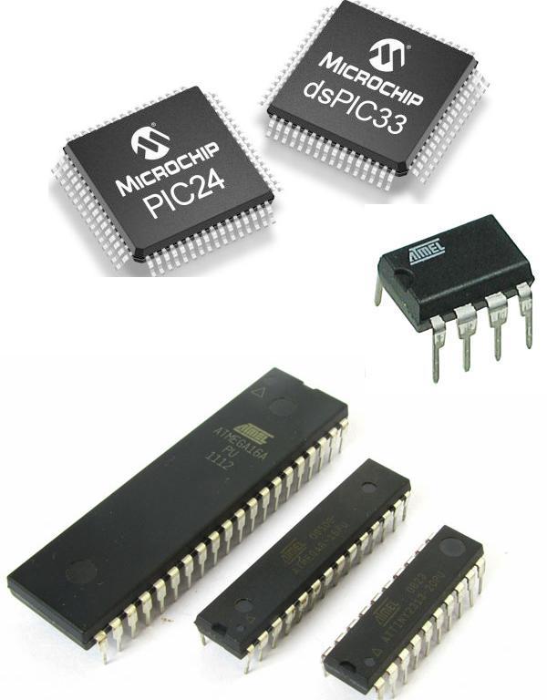 Figure 2 – Common microcontrollers
