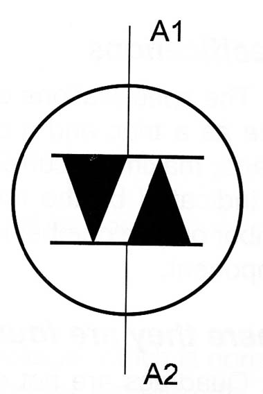 Figure 1 – The diac
Figure 1 – The diac