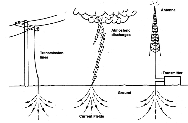 Figure 2
Figure 2