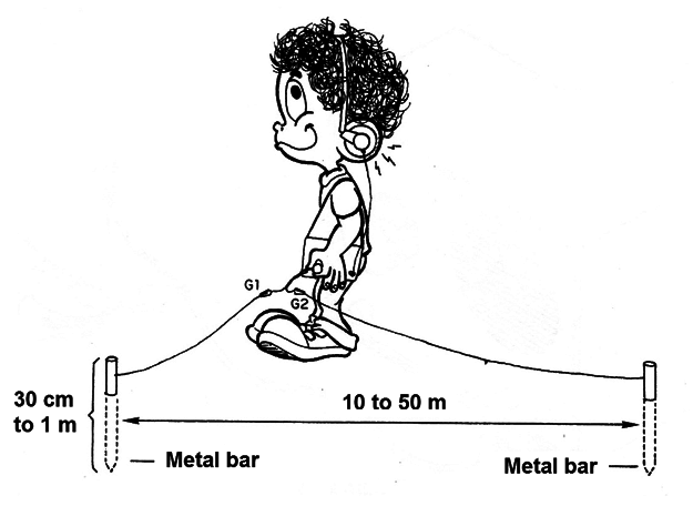 Figure 11
Figure 11