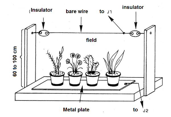 Figure 16 - Field producing wire
Figure 16 - Field producing wire