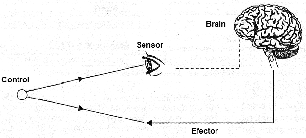 Figure 1 - Feedback
Figure 1 - Feedback
