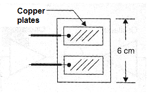 Figure 6 - Electrodes with plugs
Figure 6 - Electrodes with plugs