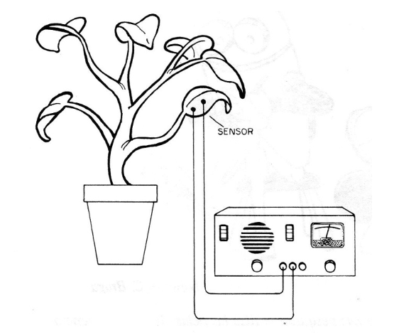 Figure 1 - Practical application
Figure 1 - Practical application