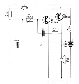 Figure 1 - Diagram of the electronic ox
Figure 1 - Diagram of the electronic ox