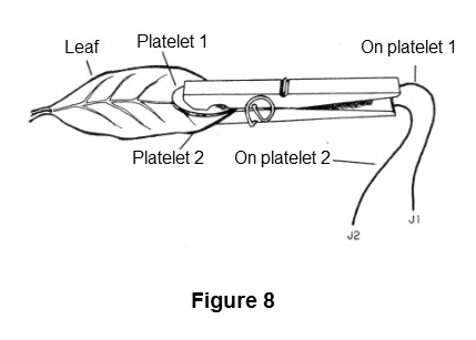 Figure 8 - Electrodes for plants
Figure 8 - Electrodes for plants