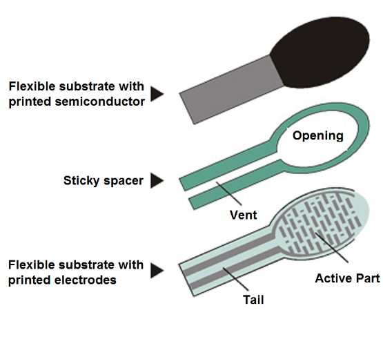 Figure 2 - Sensor Structure
Figure 2 - Sensor Structure