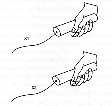Figure 5 – Experimenting with a plant
Figure 5 – Experimenting with a plant