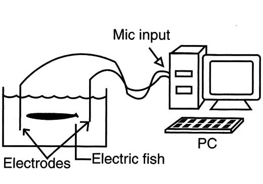 Figure 3 – Using a computer
Figure 3 – Using a computer