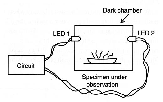 Figure 6 – An experiment using the LEDs
Figure 6 – An experiment using the LEDs